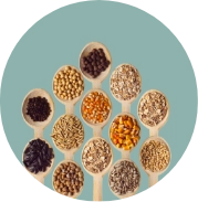 Legumbres, Cereales y Semillas