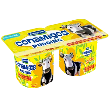 PUDDING CONAPROLE.