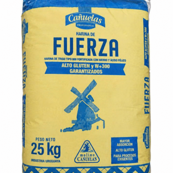HARINA 000 DE FUERZA CAÑUELAS 25KG